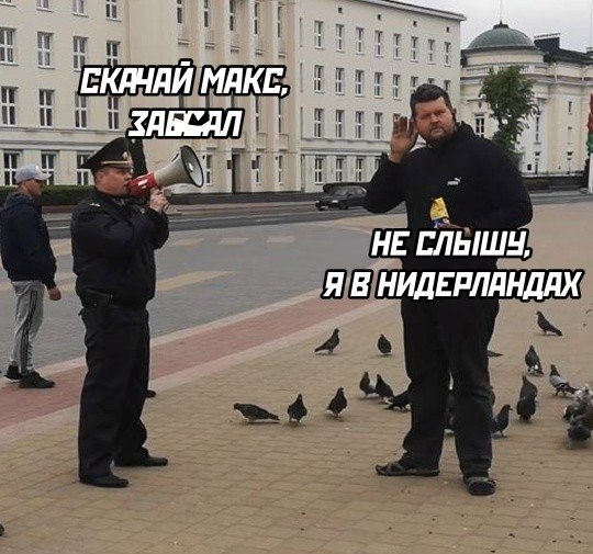 Картинки для деградации 203  (разной степени свежести)