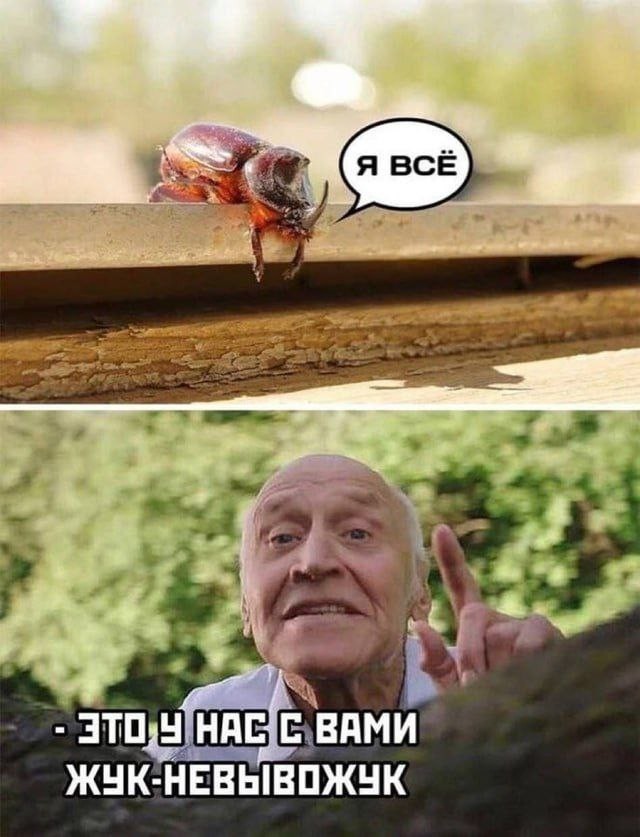 Картиночки, баянчики 18 июня