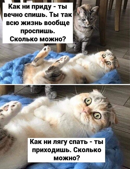 Картиночки, баянчики 29 июня