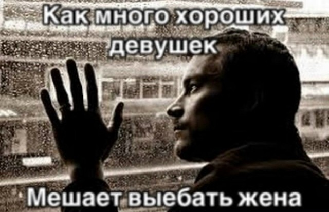 Веселые картинки в пятницу (07.08)