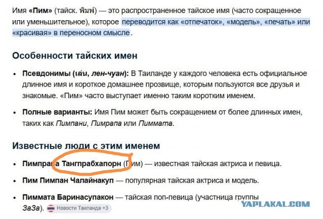 Россиянин приютил у себя в Таиланде местную барышню, а теперь не может выселить её