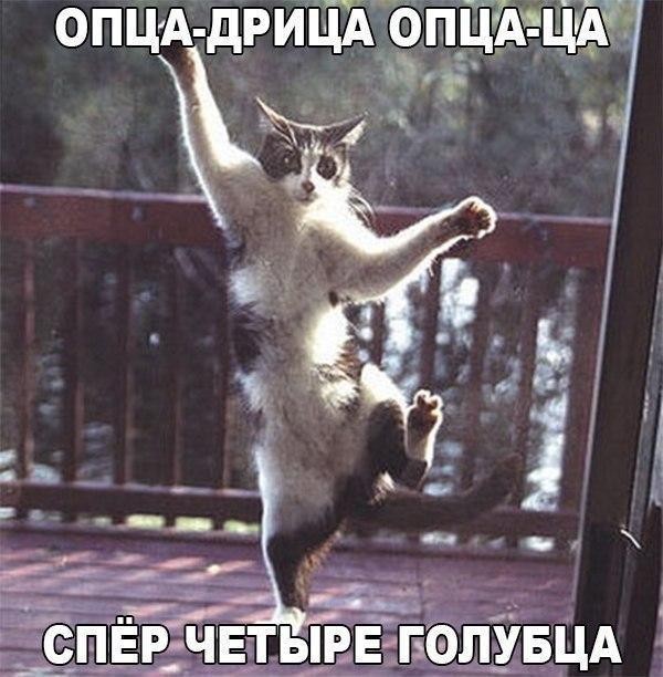К котовторнику: подборка картинок-баянов с котиками и про котиков. Выпуск 47.