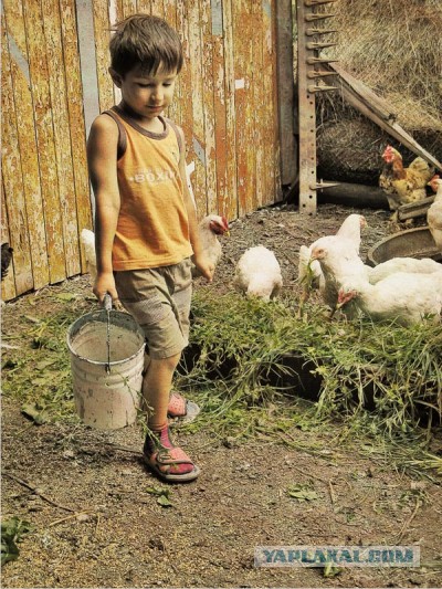 1970 год, село Козловка.