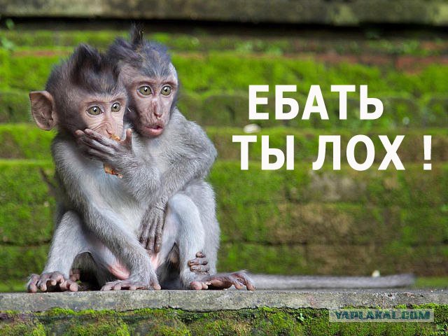 Так вот кто выигрывает во всех конкурсах
