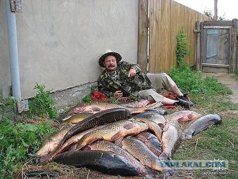 Рыбалка в Персидском заливе