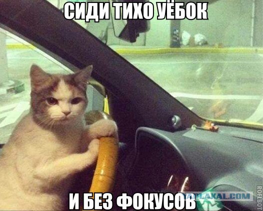 Не про олимпиаду