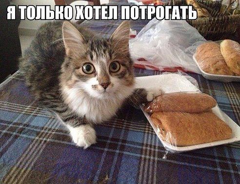 Капля позитива