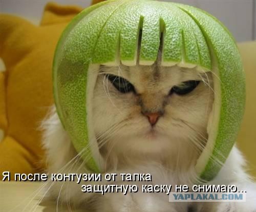 Все заметили