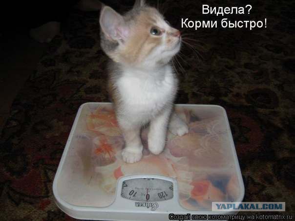 Пополнение