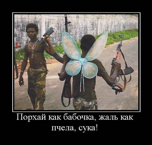 Wargaming 12, WoT сотоварищи