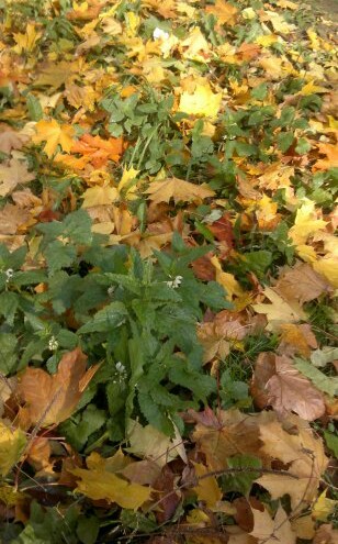 А что у Вас сейчас?