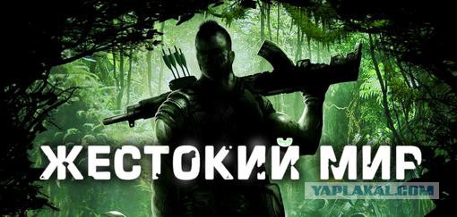 Всем зеленки!