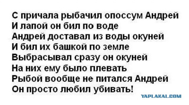 Смешные комментарии из социальных сетей 11.11.2014