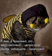 Веселое из сети