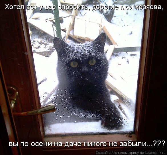Саня?