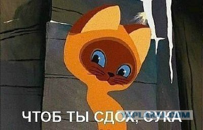 Михалков обсудит с Путиным «налог на интернет»