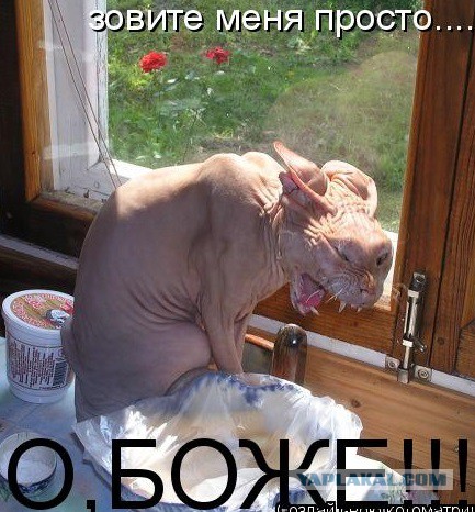 Ей холодно, а нам страшно!