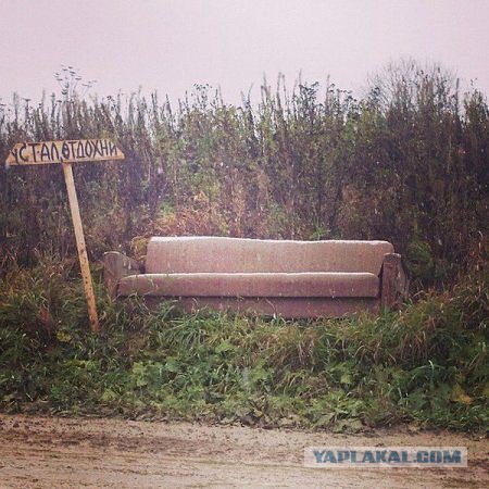Забавные картинки из Сети