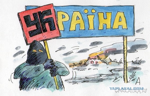 Картинки 12.05.2015