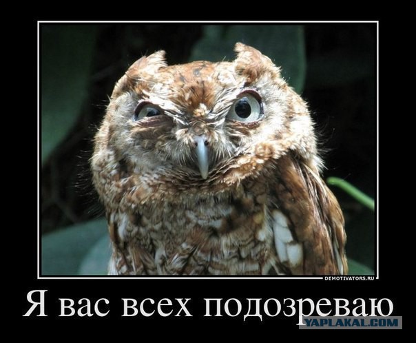 На Украине арестованы высшие чины СБУ.