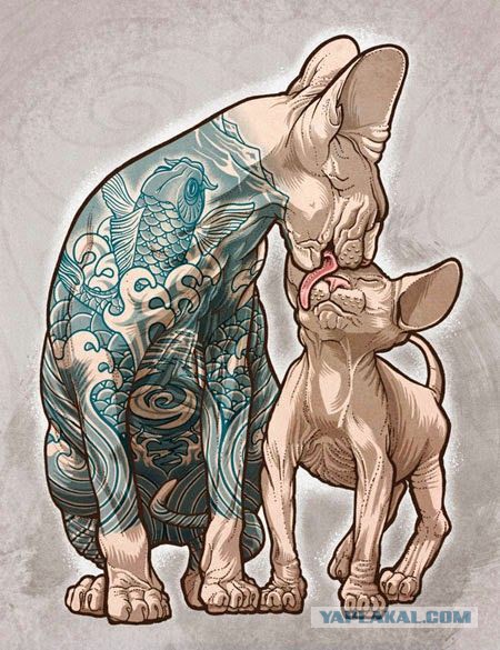 Забавные рисованные кошки