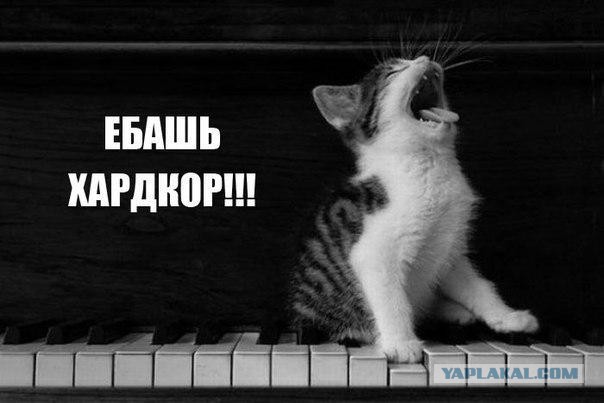 Картинки разные из сети