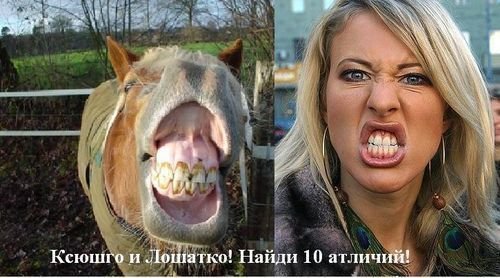 Нападения лошадей