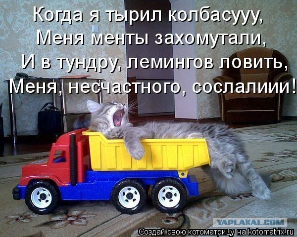 Челябинский полицейский приставил нож к горлу котенка