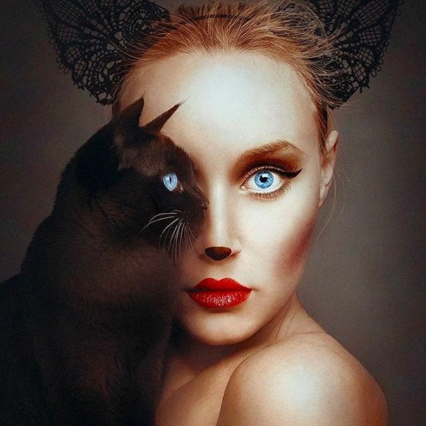 Веселые картинки