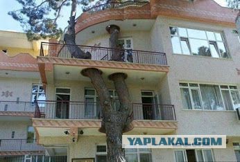 Балконы бывают разные