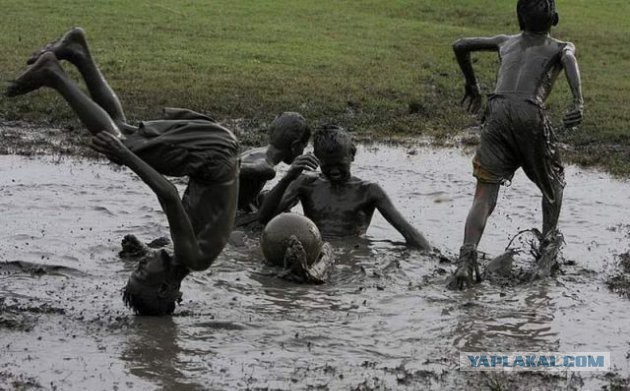 Картинки из ваших интернетов, 18+