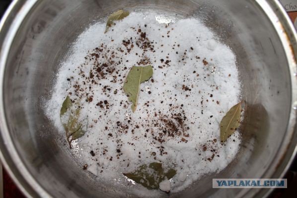 Скумбрия малосольная