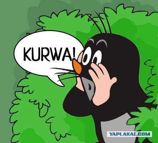 Польша в истерике: Глава минобороны Польши заявил о признаках «подготовки российской агрессии против НАТО»