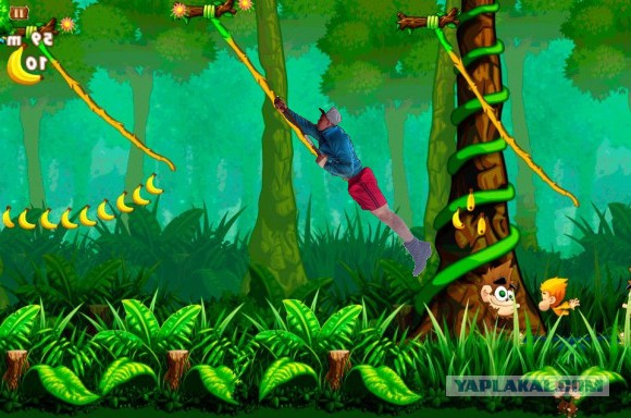 Дачные приколы