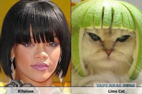 Прикольные и интересные фото