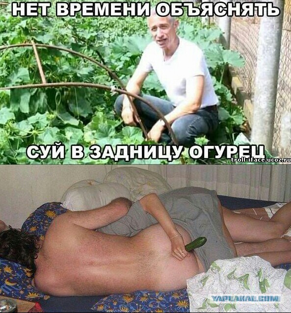 Подборка из соцсетей