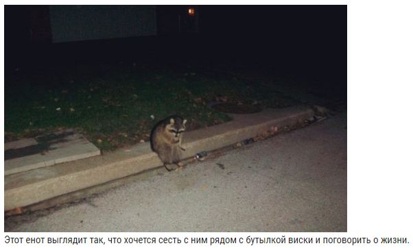 17 комментариев из интернета, которые зарядят позитивом на весь день