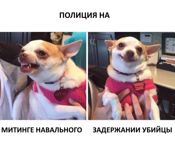Задержание убийцы в Астрахани