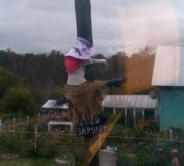 100 картинок для поднятия настроения!