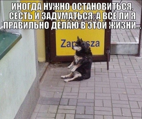 Работу кончай, пост с картинками открывай!