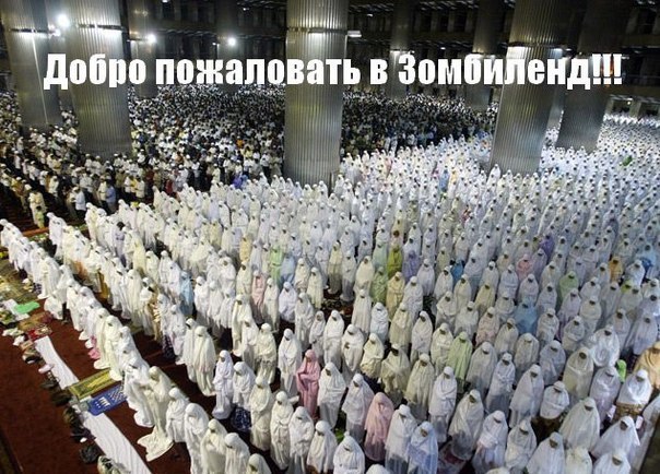 Субботняя вакханалия с большой дозой идиотизма