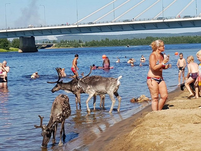 Подборка картинок. Забавных, прикольных - разных!