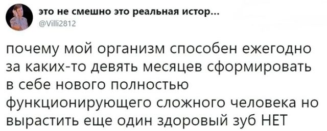 Смешные комментарии из социальных сетей 25.01.2019