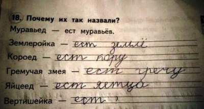 Записи в школьных дневниках и тетрадях