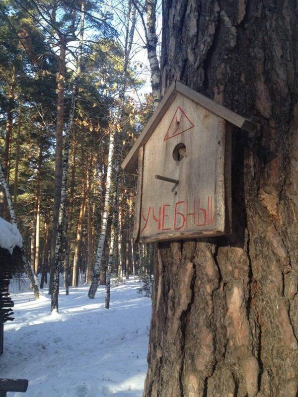 Подборка интересных и веселых картинок 15.02.19