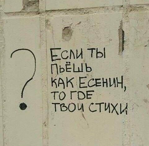 Анекдоты, соц-сети и картинки с надписями