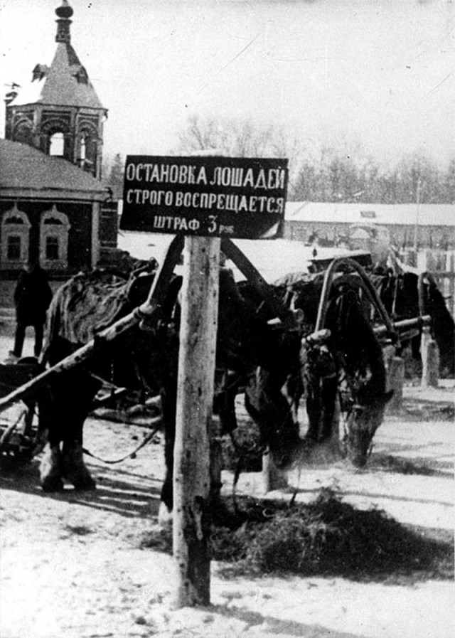 Просто фото