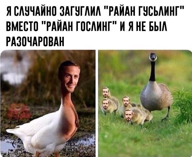 Немного картинок для настроения