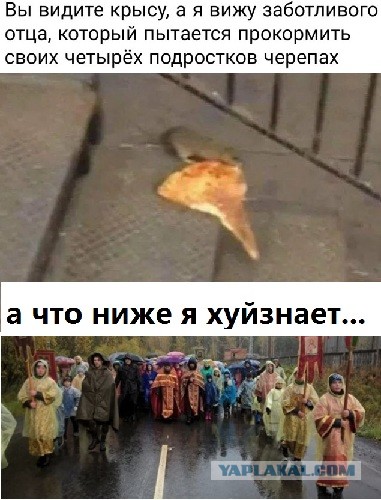 В России под дождем провели детский крестный ход ради хороших оценок