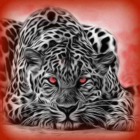 Crazy Art